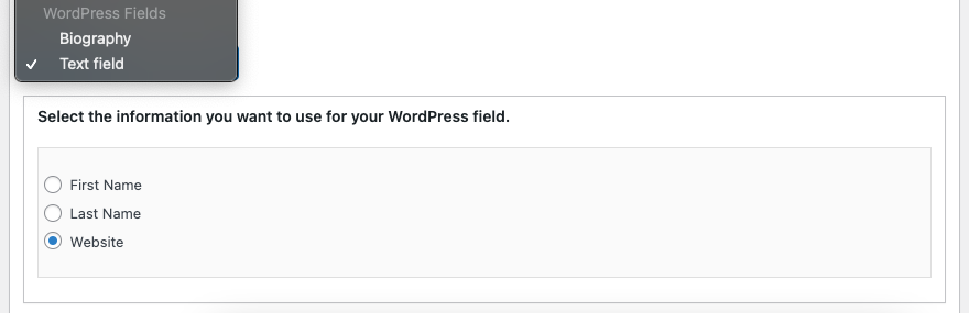 WP field types